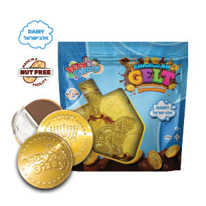 25pc Chocolate Coins in Bag